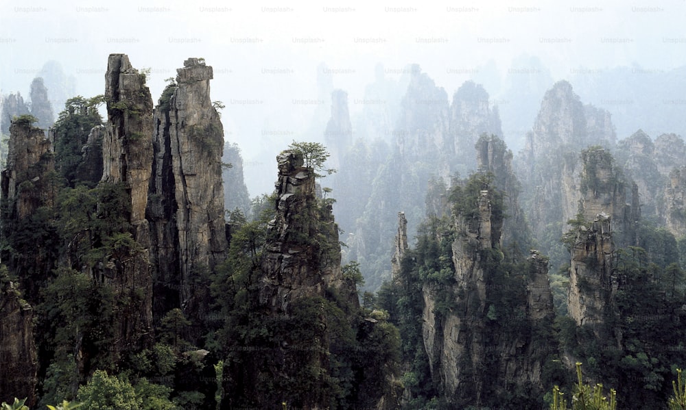 um grupo de rochas e árvores em uma área montanhosa