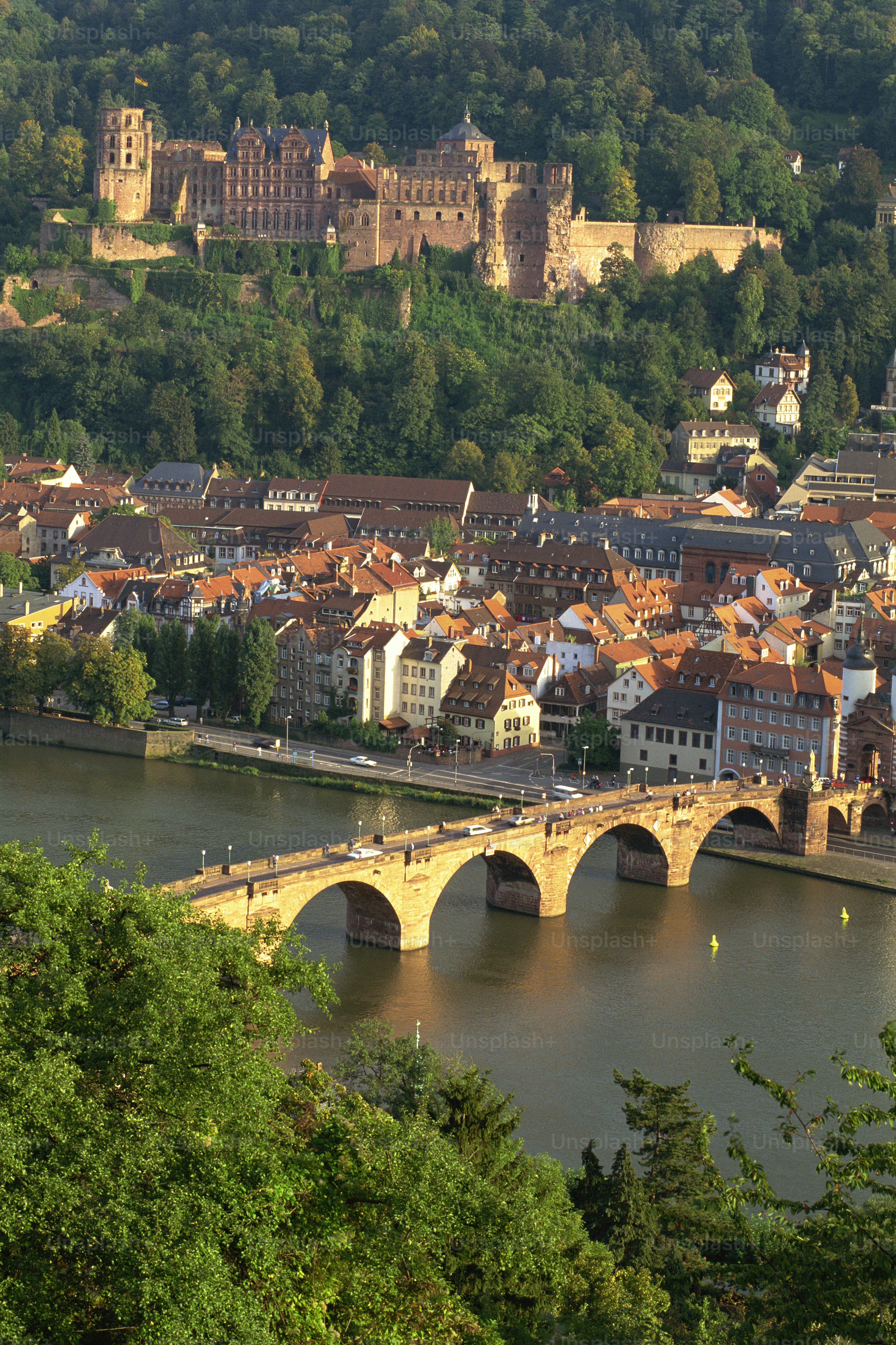a bridge over a river with a city in the background