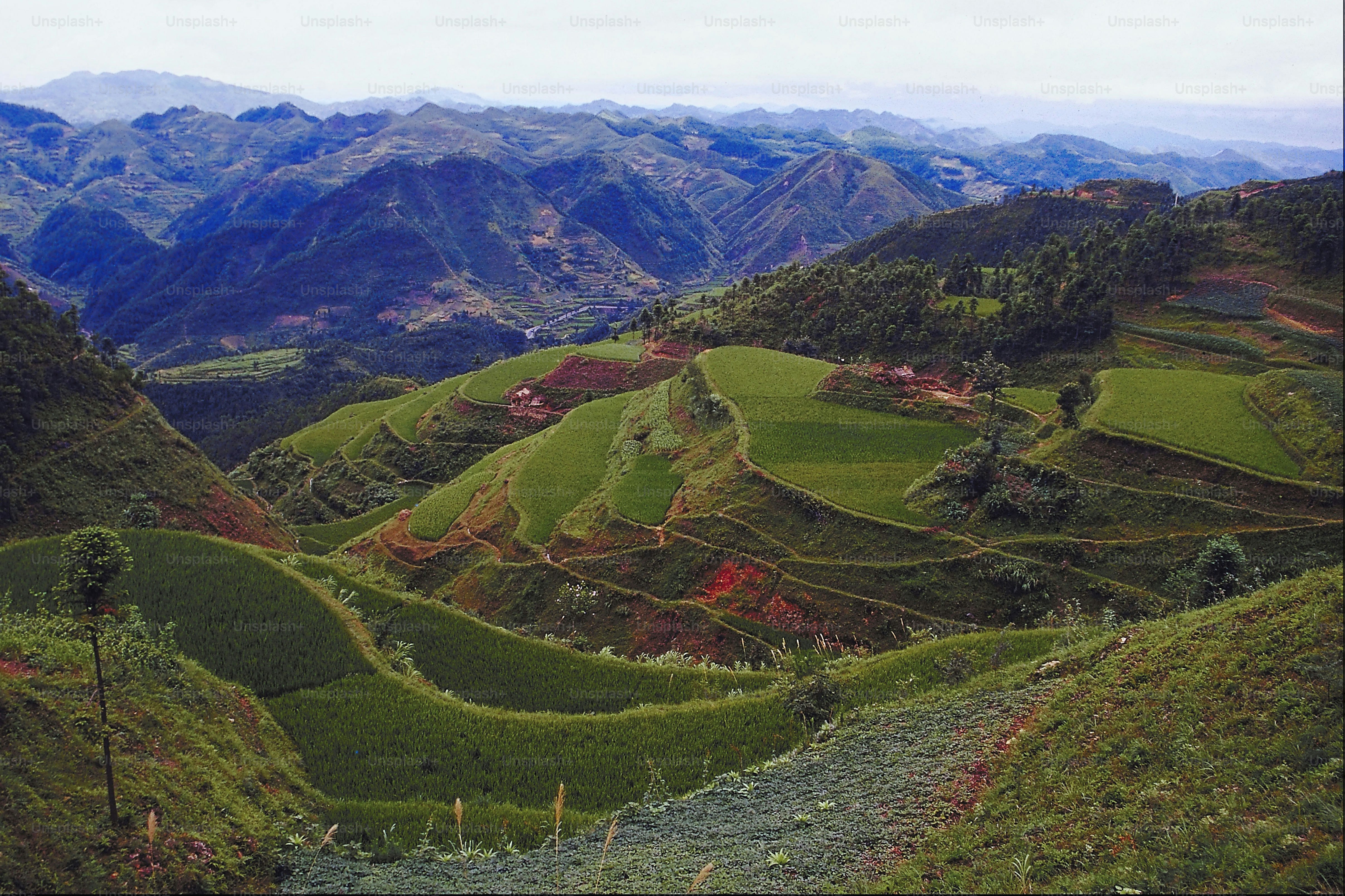 a lush green valley with mountains in the background