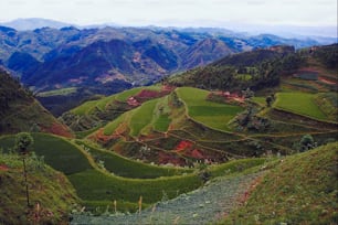 Una valle verde lussureggiante con montagne sullo sfondo
