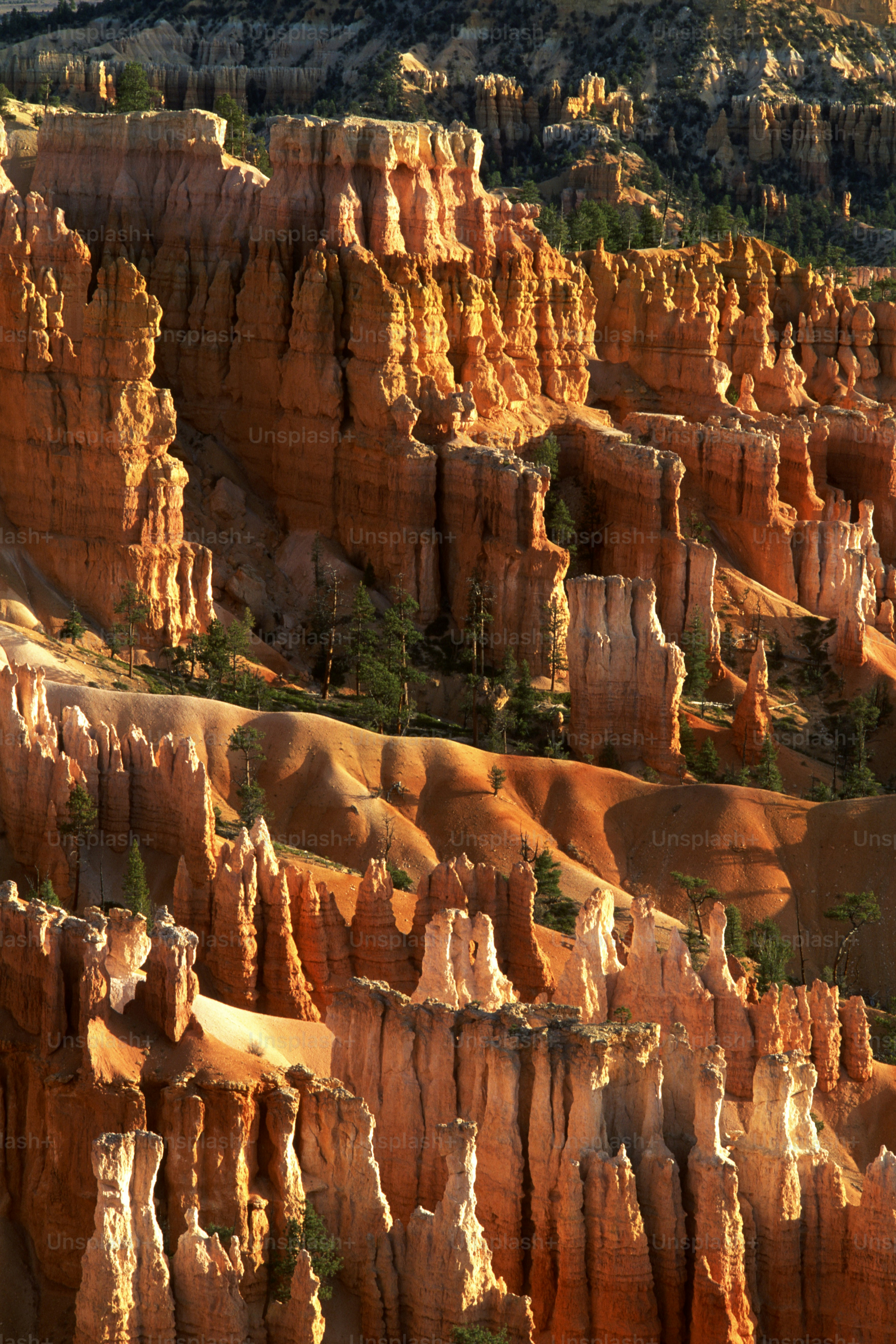 a scenic view of a canyon in the mountains