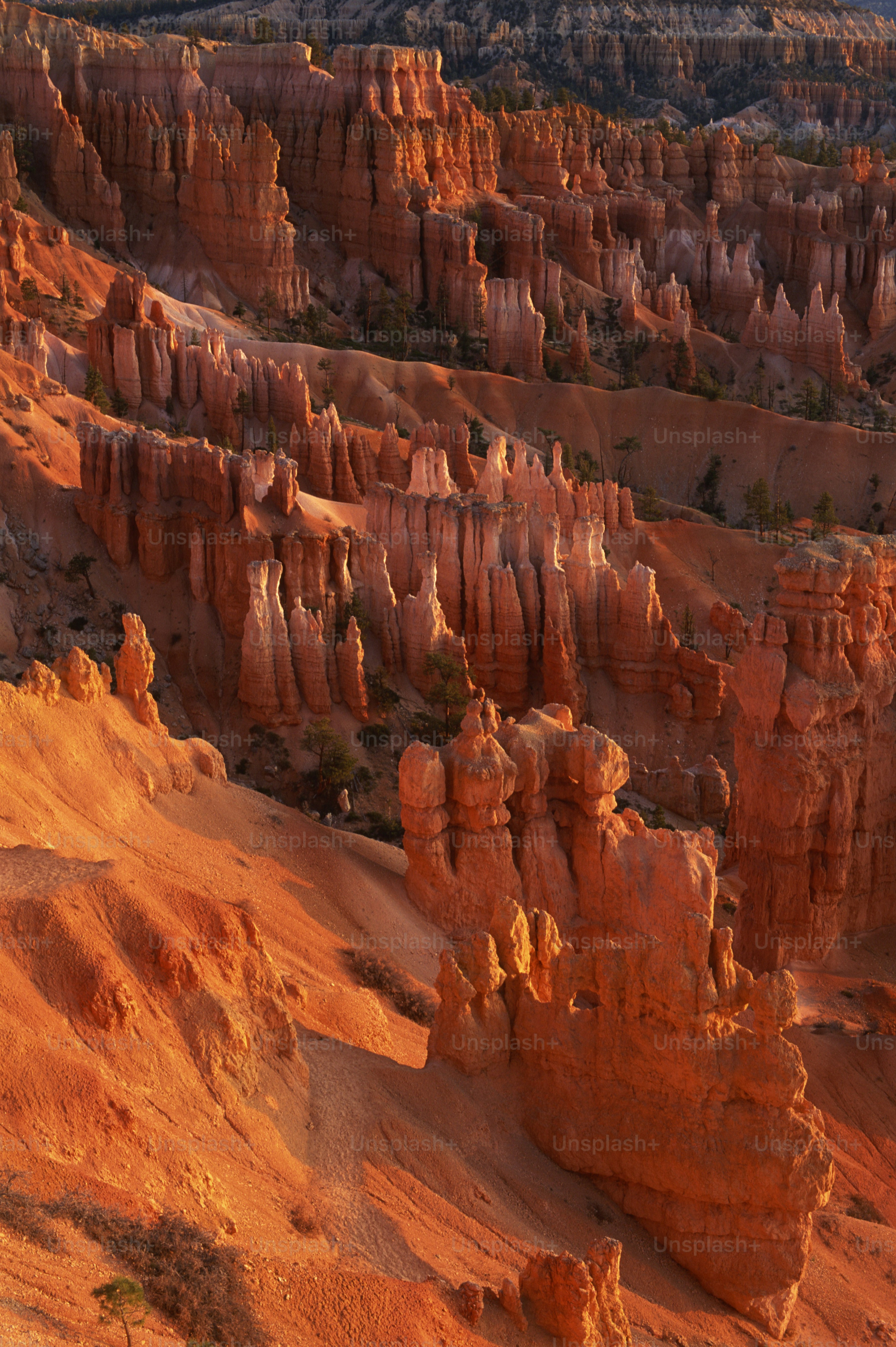 Immortalisez les formations rocheuses rouges lors du coucher du soleil