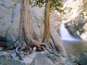 Una cascada está saliendo de las rocas hacia el agua