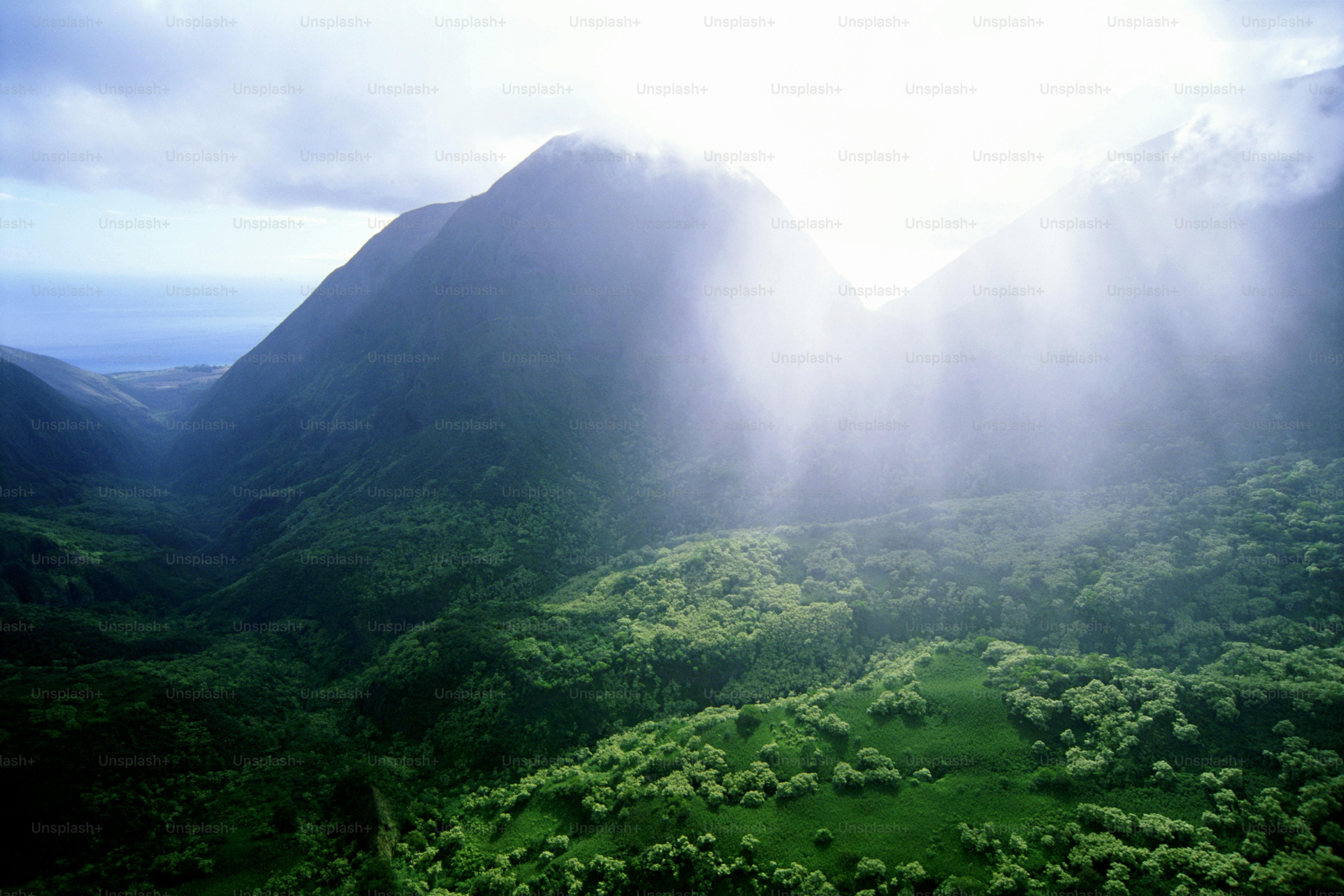 an aerial view of a lush green valley