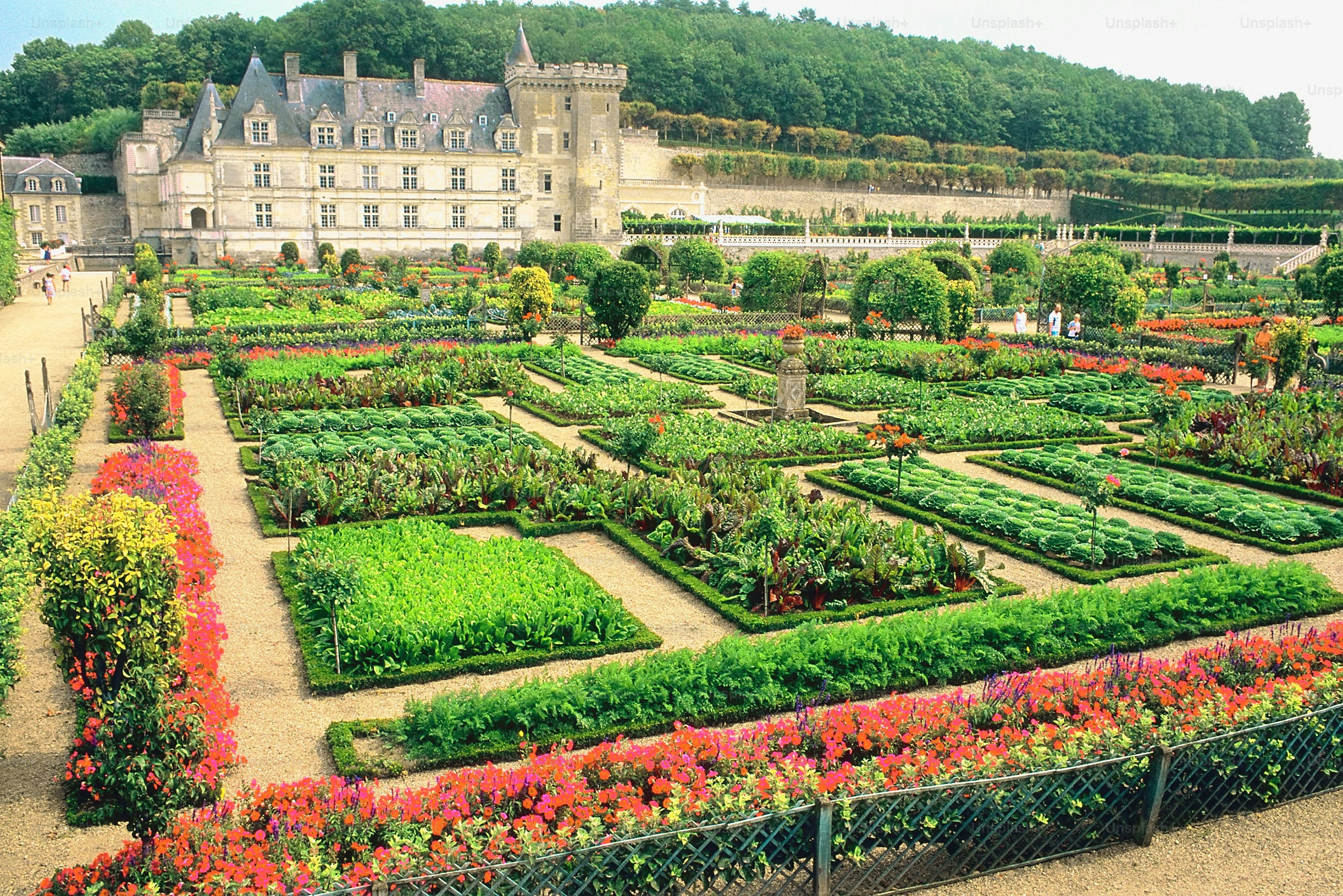 a large garden with a castle in the background