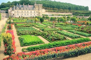 a large garden with a castle in the background