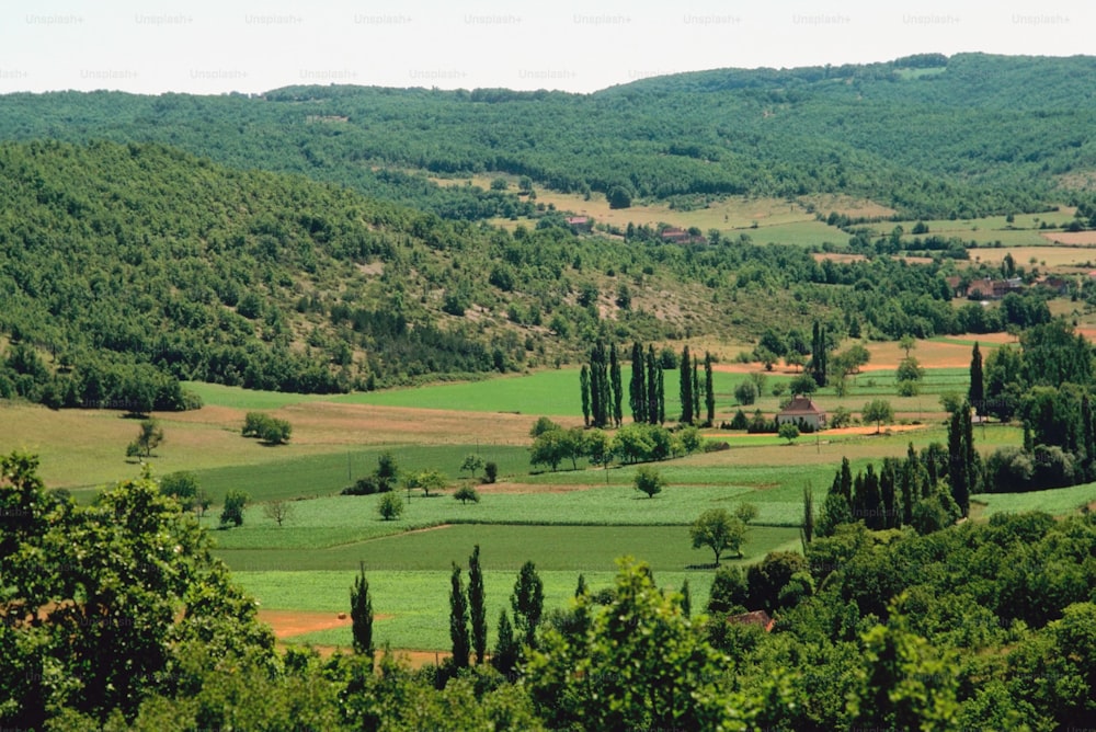 um vale verde cercado por árvores e colinas ondulantes