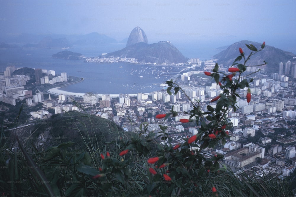 a view of a city and a body of water