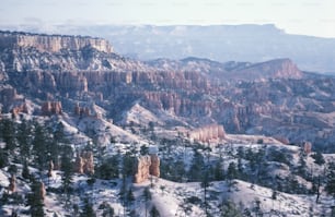 a view of the mountains and trees covered in snow