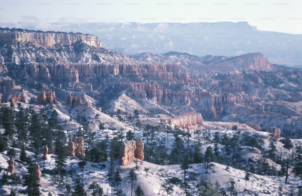 Una vista de las montañas y los árboles cubiertos de nieve