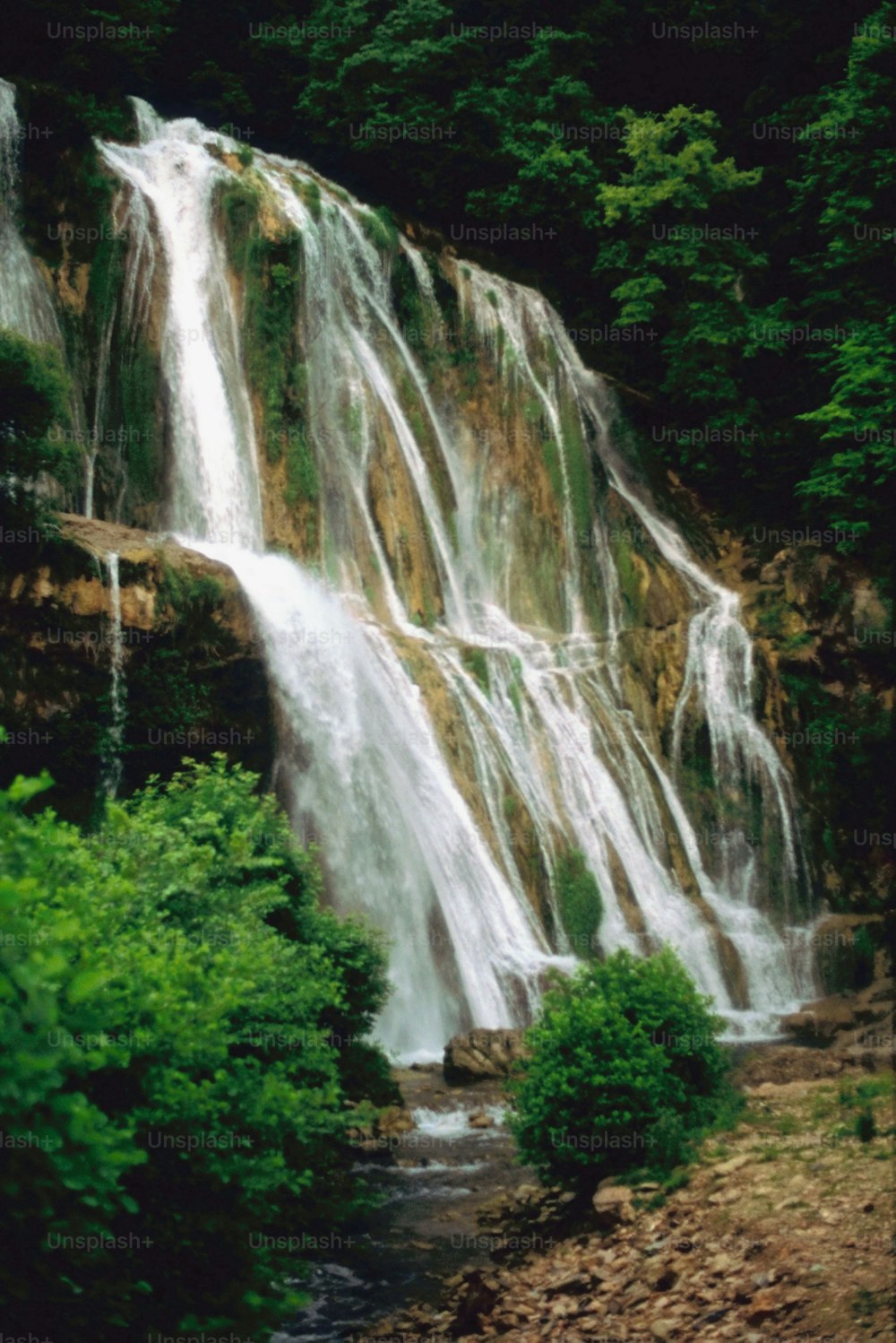 una grande cascata nel mezzo di una foresta