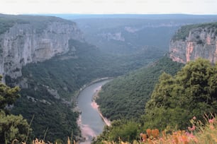 a river flowing through a lush green valley