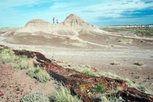 two people standing on top of a hill