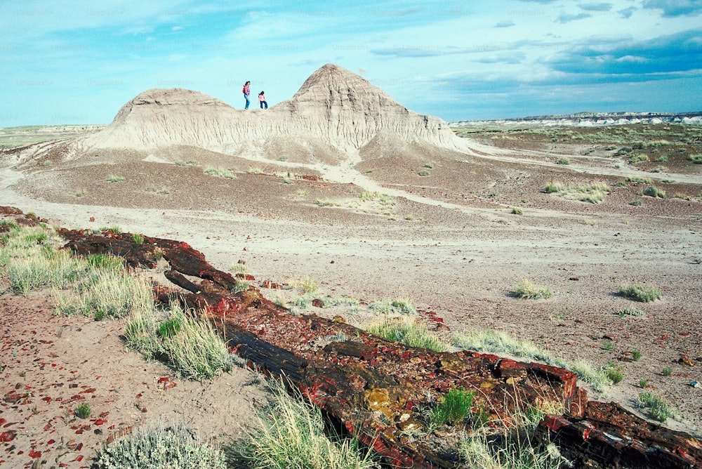 two people standing on top of a hill