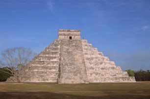 una grande piramide con un albero di fronte