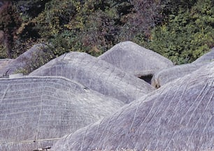 a group of thatched huts with trees in the background