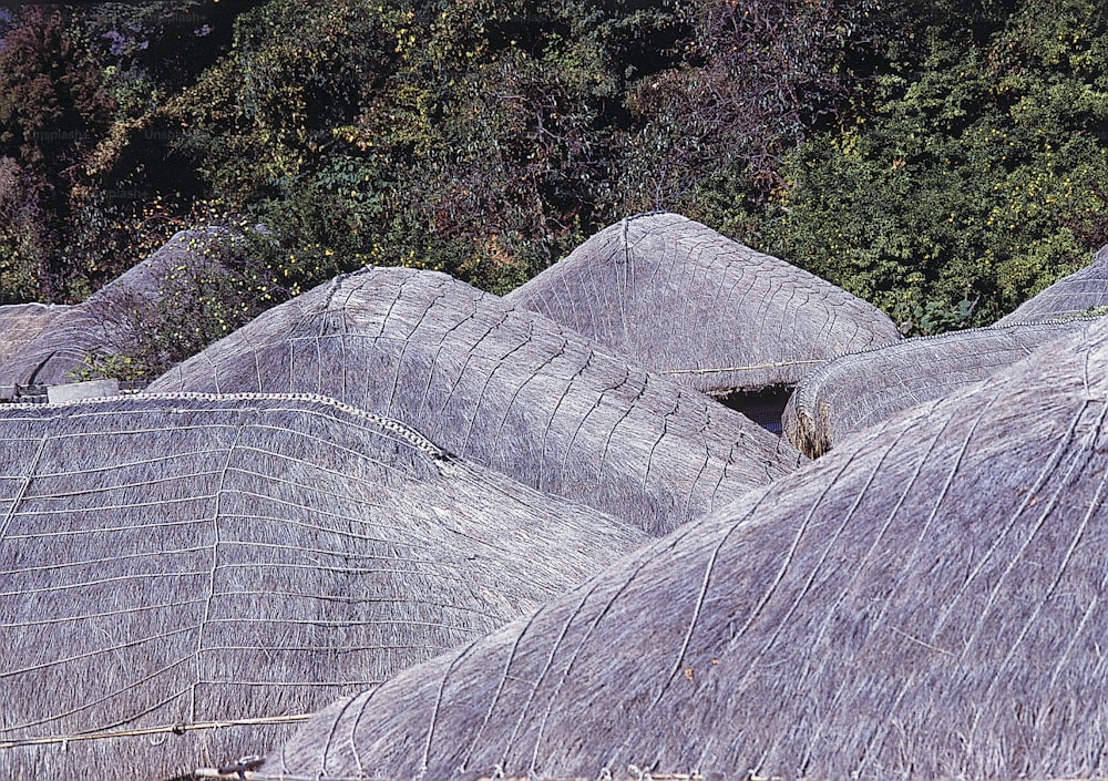 a group of thatched huts with trees in the background