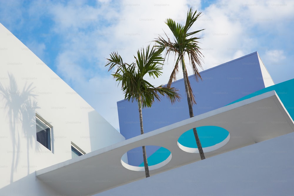 um edifício branco com duas palmeiras à sua frente