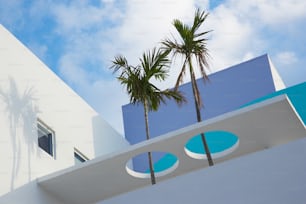 a white building with two palm trees in front of it