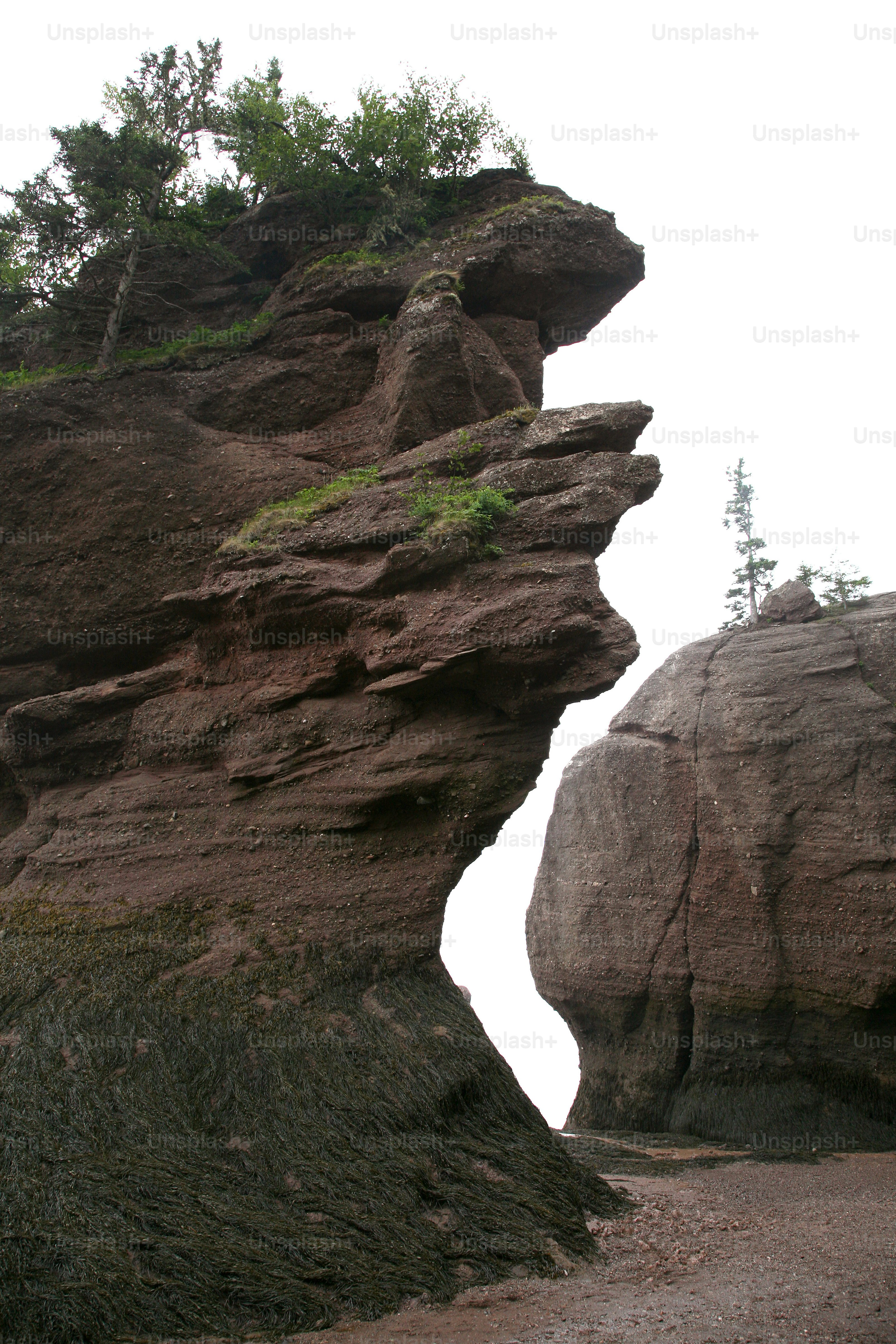 a large rock formation with trees growing out of it