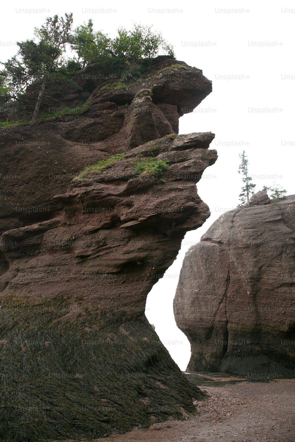 a large rock formation with trees growing out of it