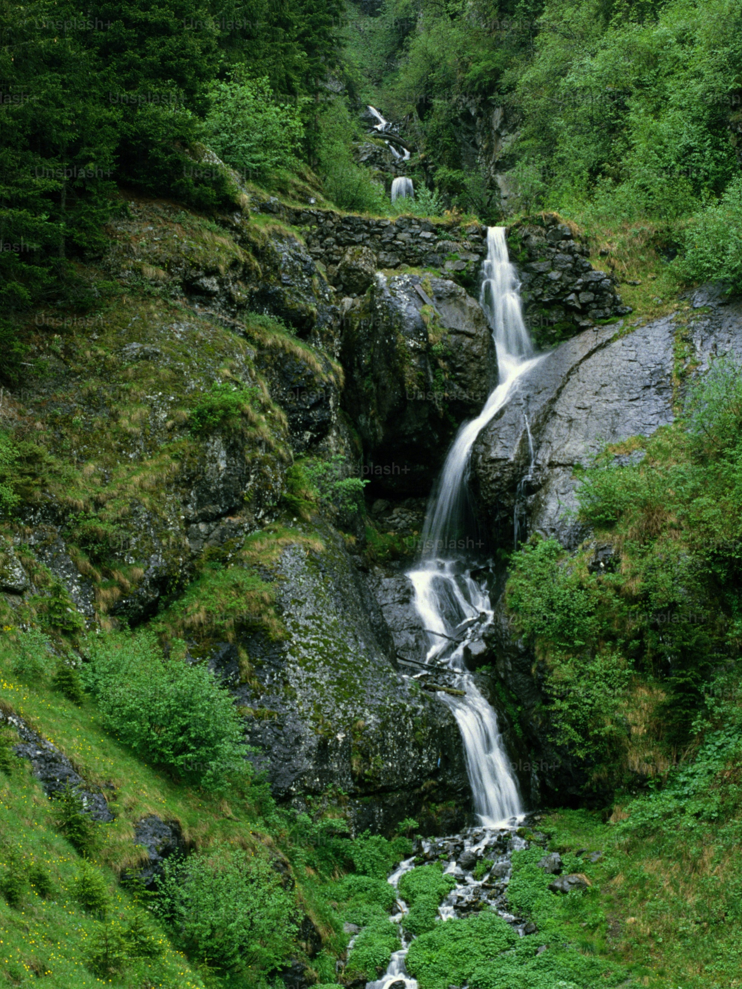 a waterfall in the middle of a lush green forest
