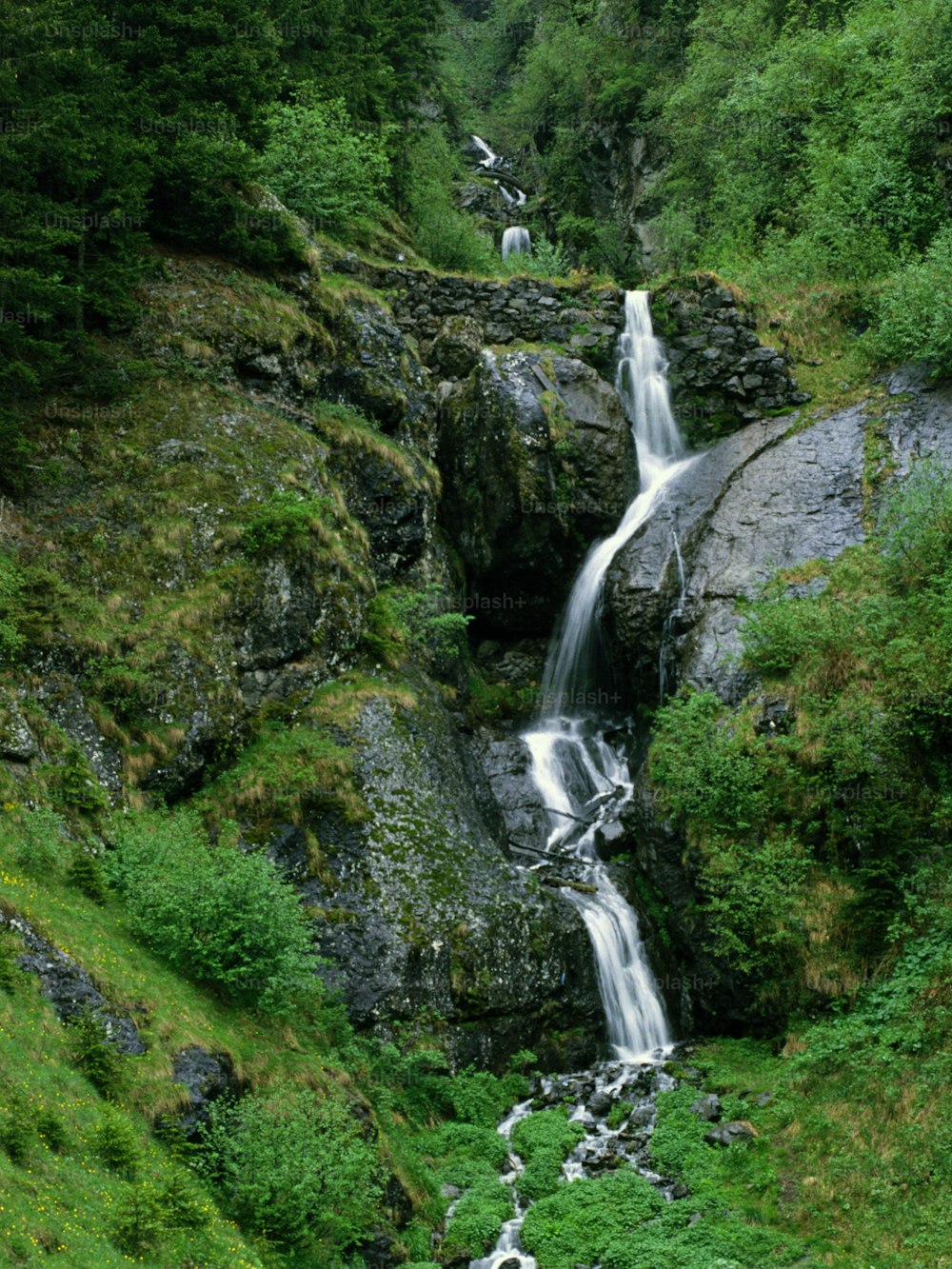 uma cachoeira no meio de uma floresta verde exuberante