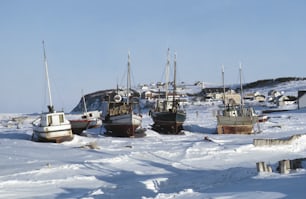 eine Gruppe von Booten, die im Schnee sitzen