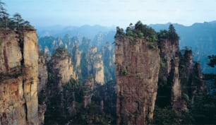 a group of tall rocks with trees on top of them