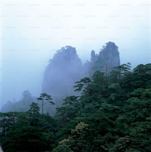 a foggy mountain with trees and rocks in the distance