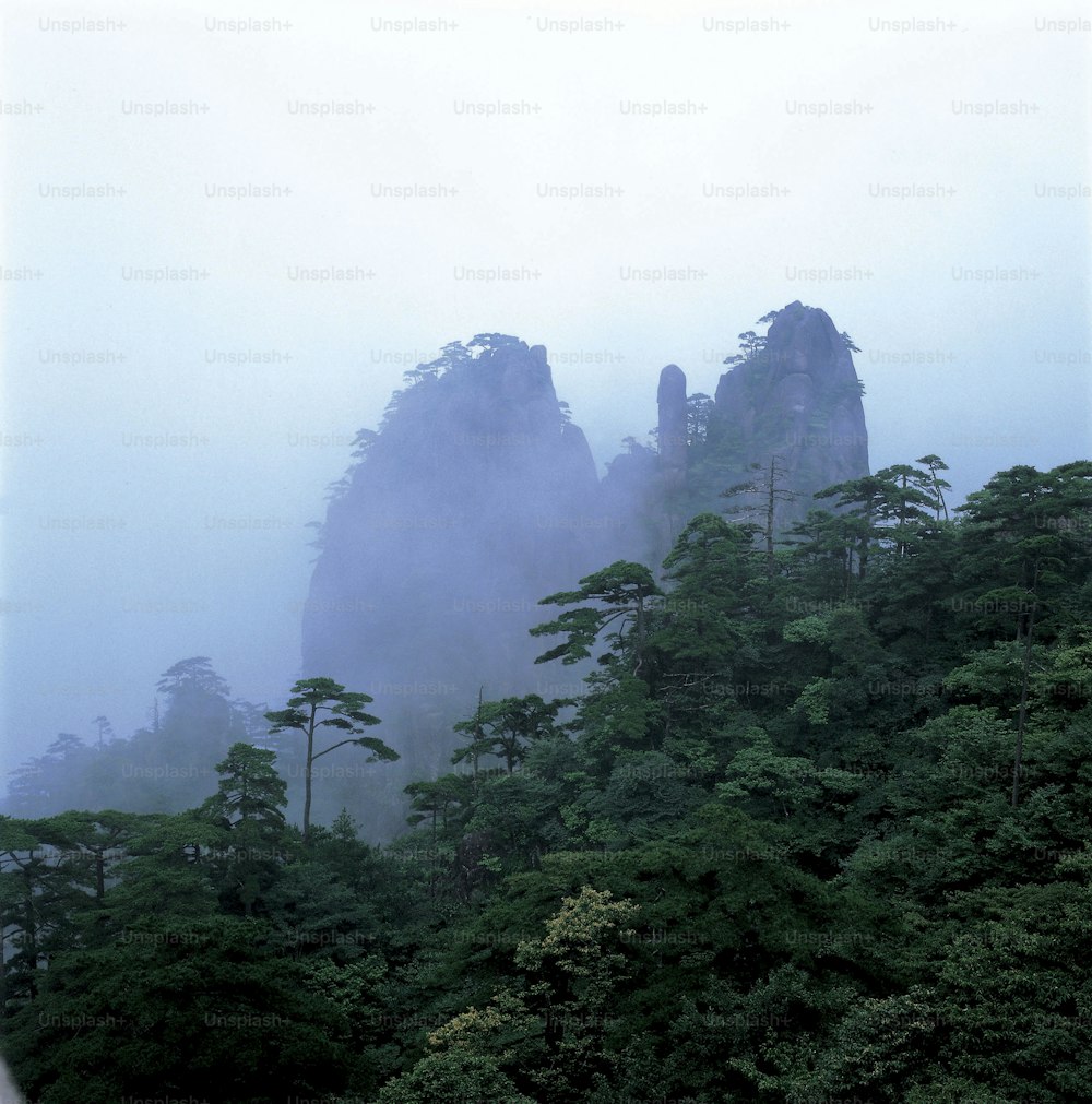 a foggy mountain with trees and rocks in the distance