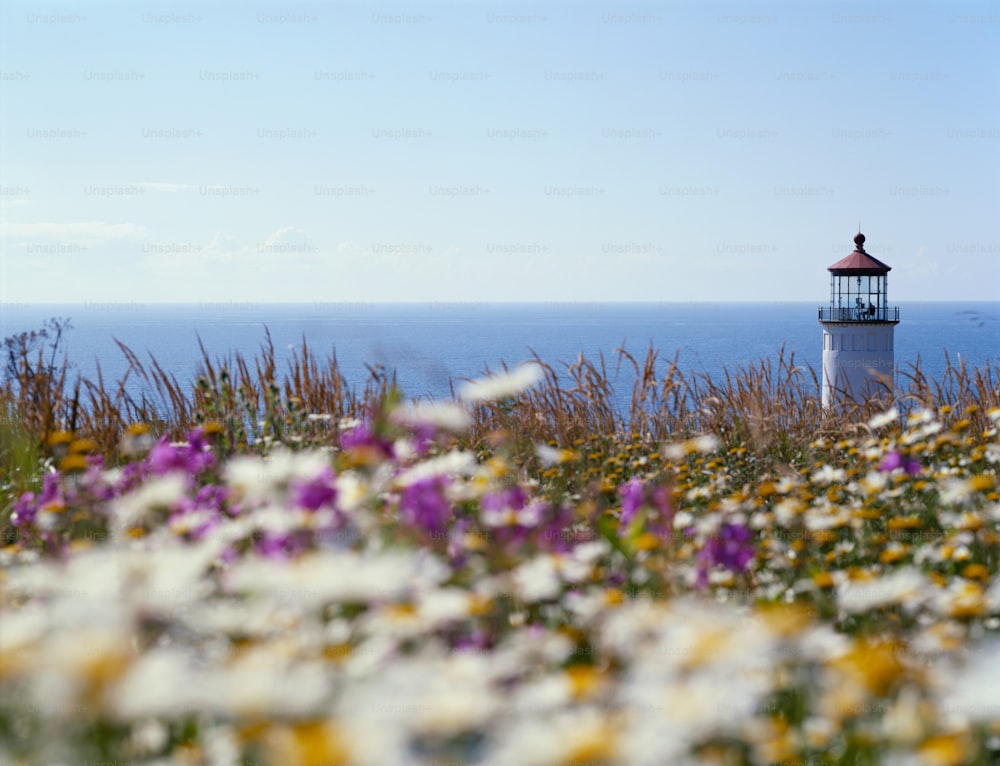 a small light house sitting on top of a field of flowers