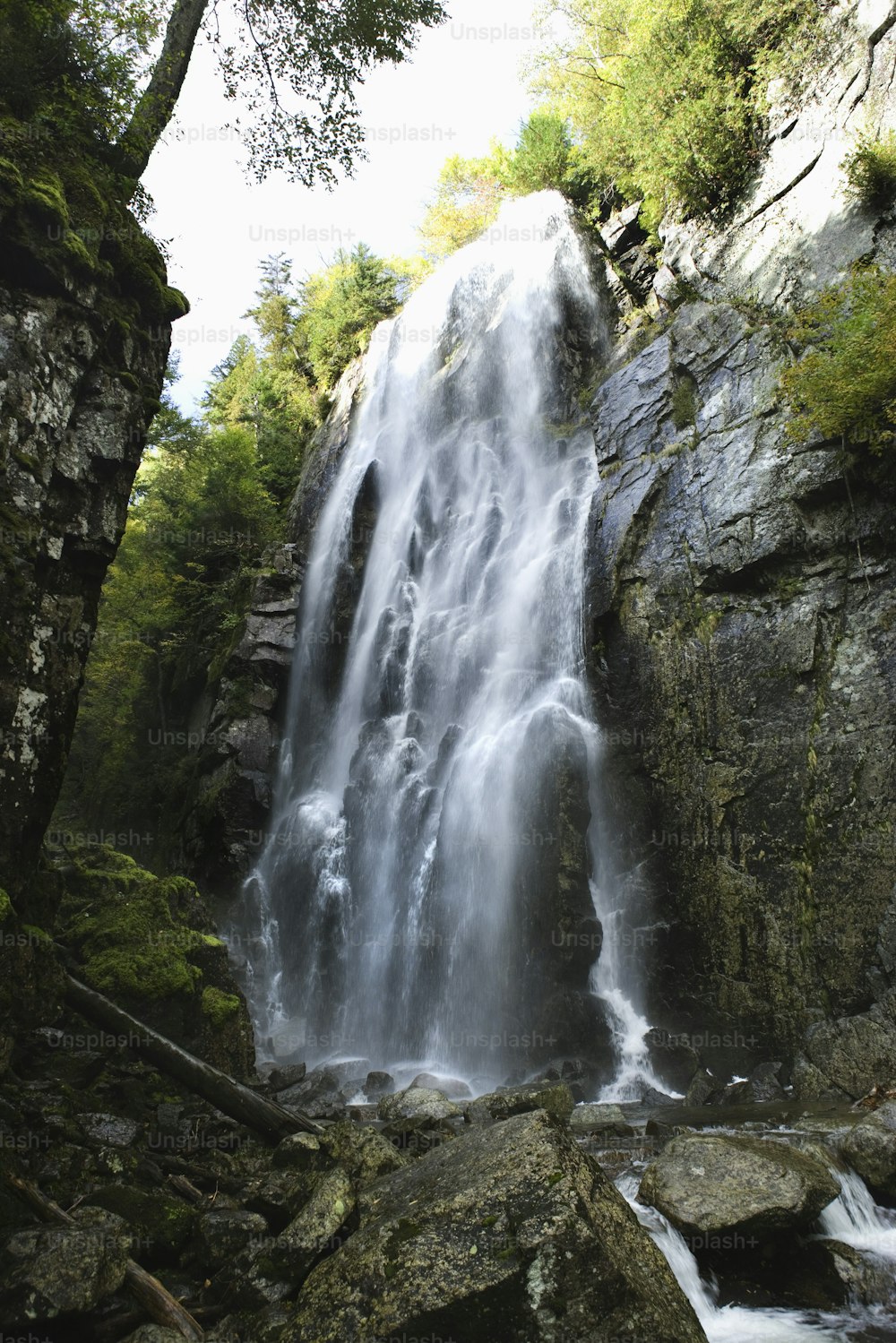 a large waterfall in the middle of a forest