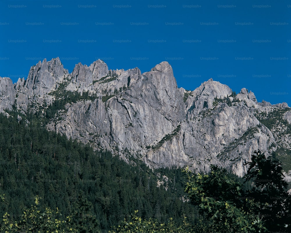 una montagna molto alta con alcuni alberi di fronte