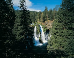 Ein Wasserfall mitten im Wald