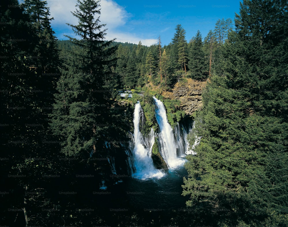 a waterfall in the middle of a forest