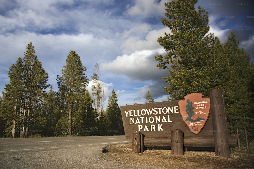 나무 앞의 옐로 스톤 국립 공원 표�지판