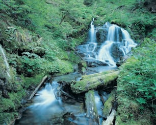 a small waterfall in the middle of a forest