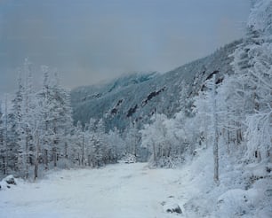 a snow covered road in the middle of a forest