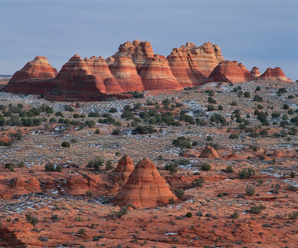 a large group of red rocks in the desert