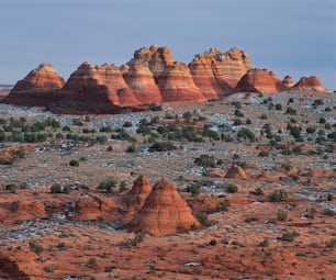 a large group of red rocks in the desert
