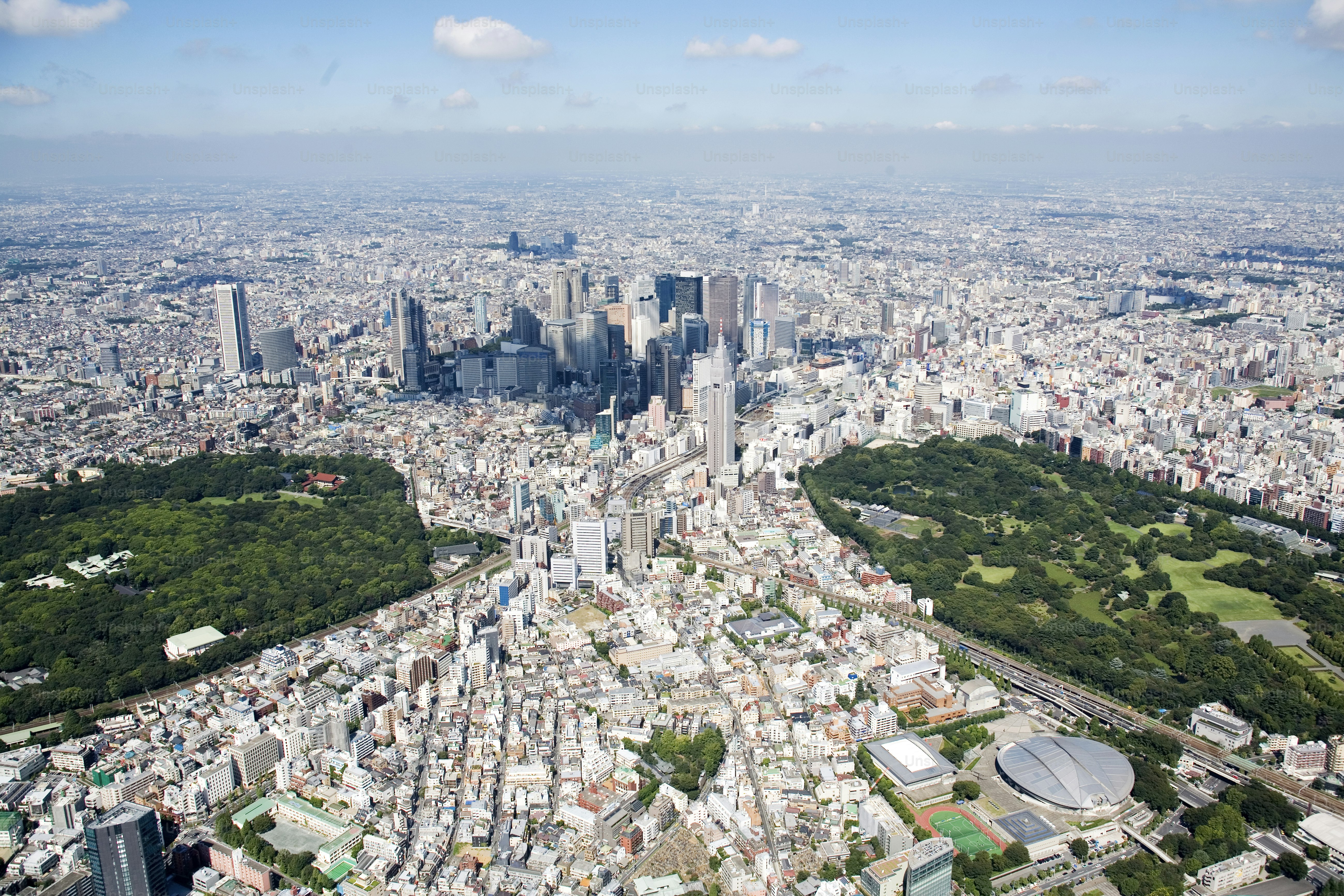 Japan, Tokyo, Shinjuku, Tokyo Metropolitan City Hall in the center, aerial view