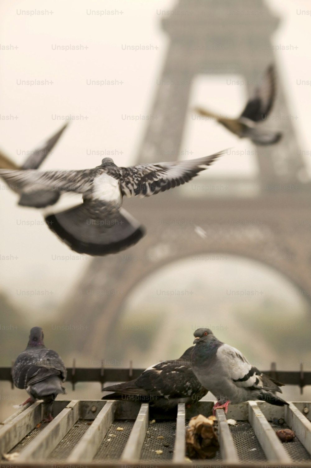 a flock of birds sitting on top of a metal rail