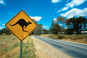 um sinal amarelo de travessia de canguru sentado na beira de uma estrada