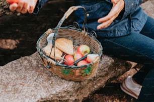 a person sitting on a rock with a basket of food