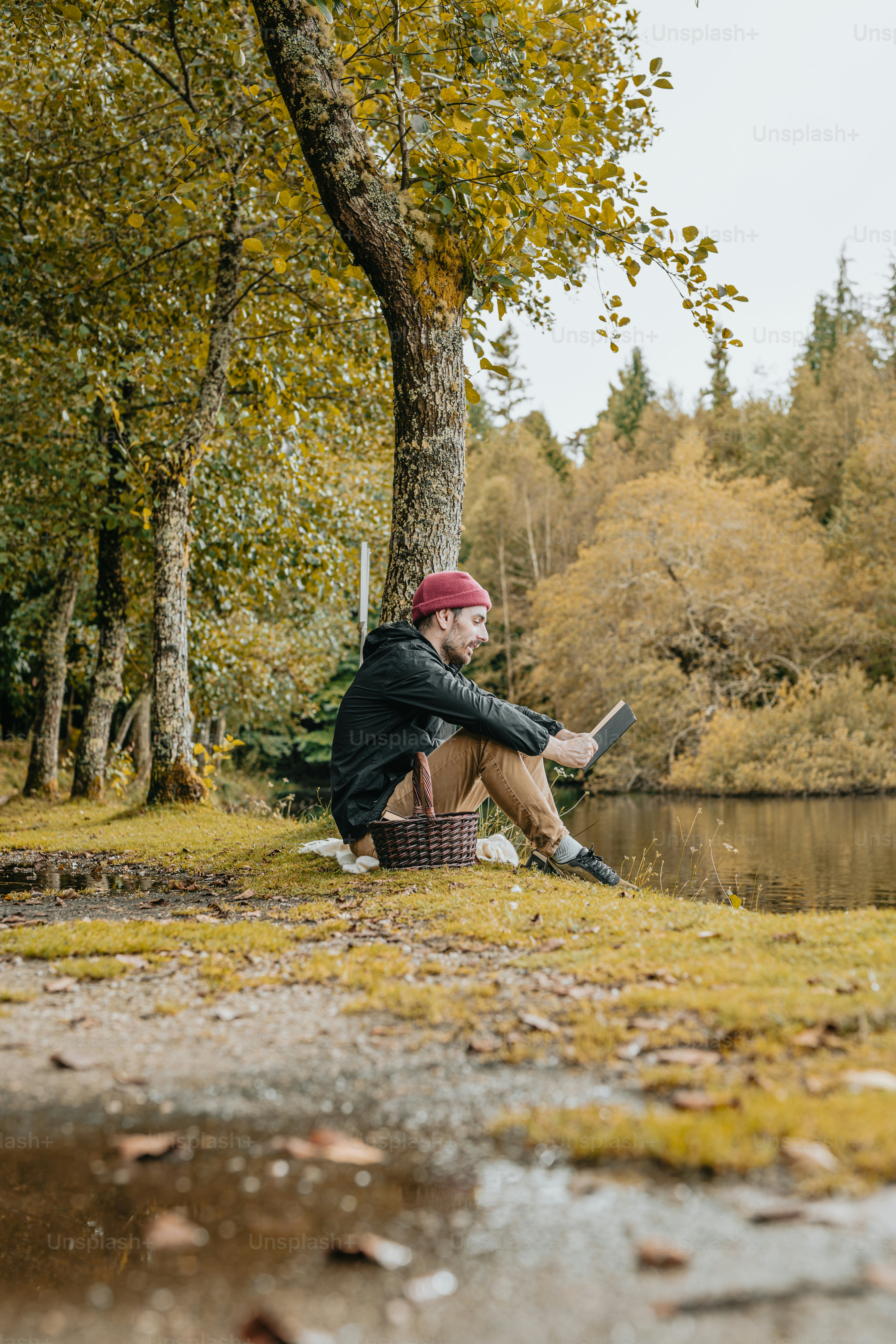 A man sitting on a bench next to a lake photo – Reading Image on Unsplash