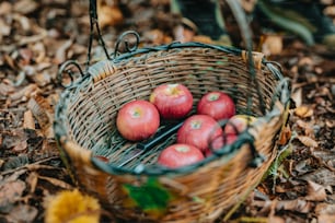 a basket filled with red apples sitting on top of leaves