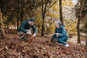 a couple of people that are in the woods