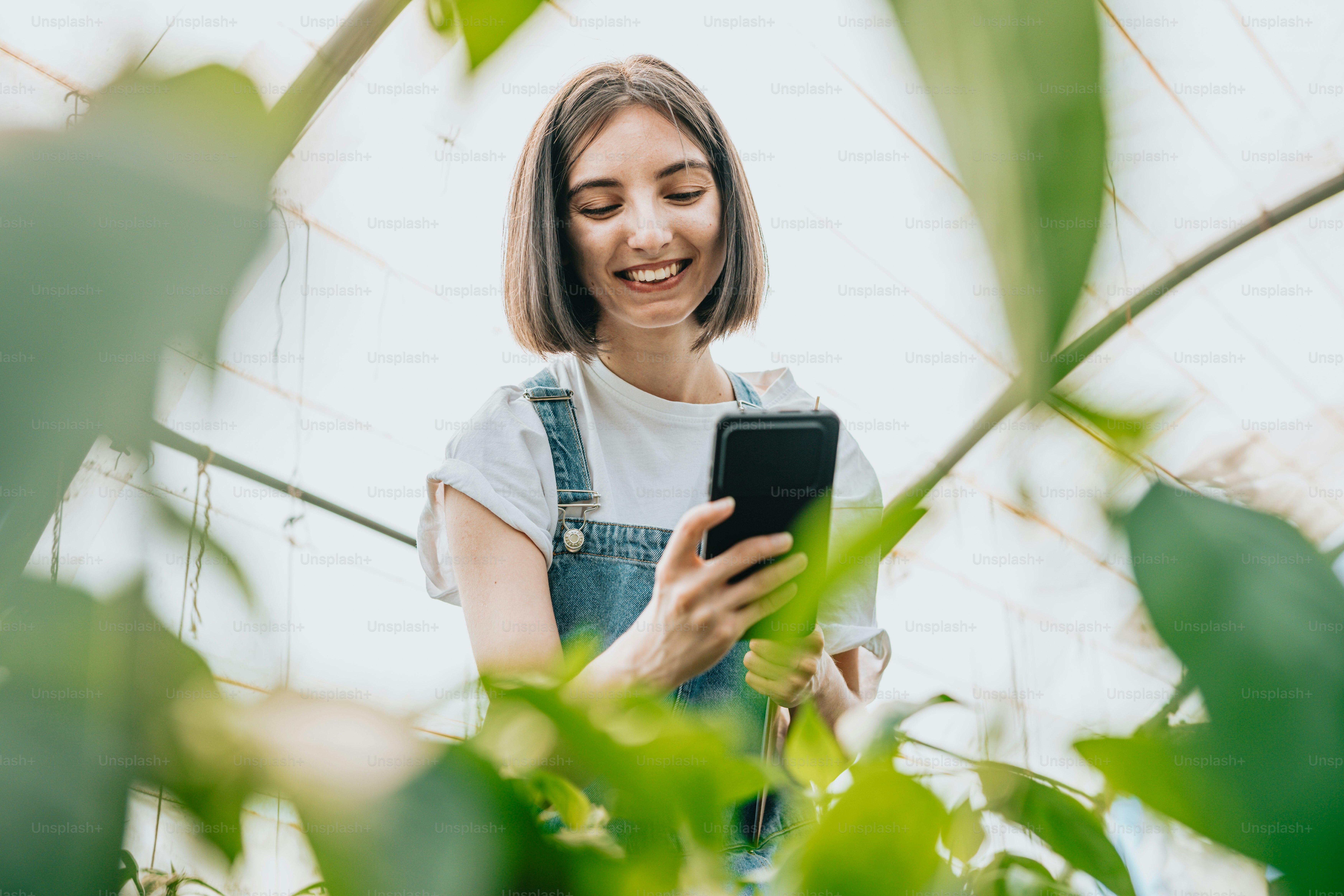 A woman standing in a greenhouse looking at a cell phone photo – Green ...