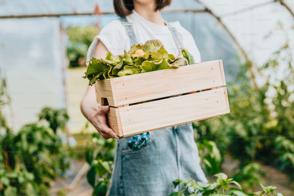 a person holding a crate of plants in a greenhouse